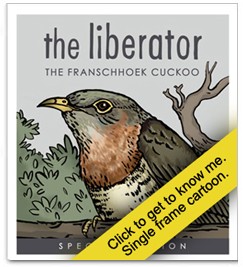 Cuckoo-single-frame